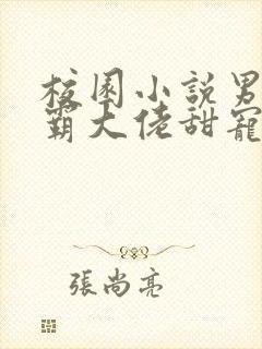 校园小说男主校霸大佬甜宠文