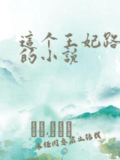 这个王妃路子野的小说