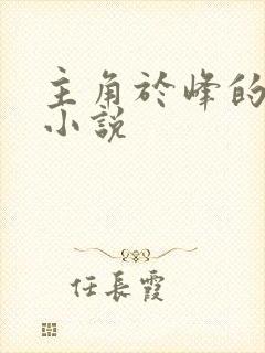 主角于峰的都市小说