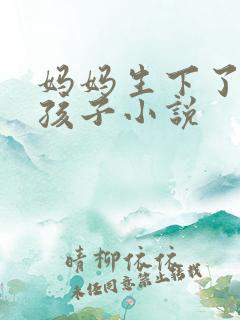 妈妈生下了我的孩子小说