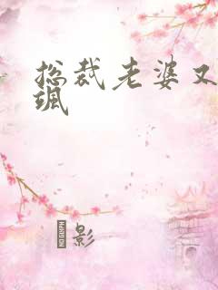 总裁老婆又美又飒