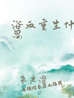 浴血重生什么意思