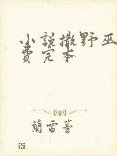 小说撒野巫哲免费完本