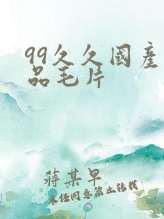 99久久国产精品毛片