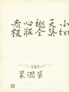 赤心巡天小说精校版全集txt