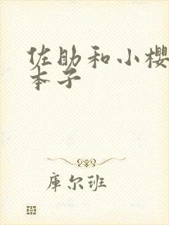 佐助和小樱同人本子