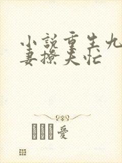 小说重生九零甜妻撩夫忙