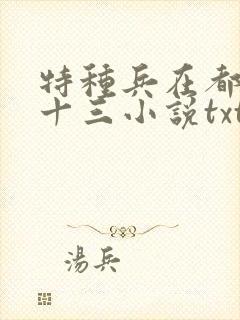 特种兵在都市夜十三小说txt下载