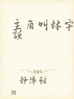 主角叫林宇的小说