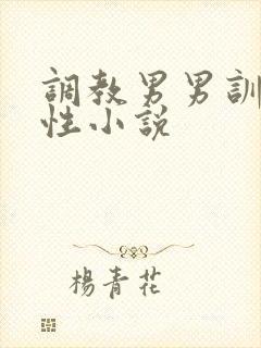 调教男男训诫双性小说
