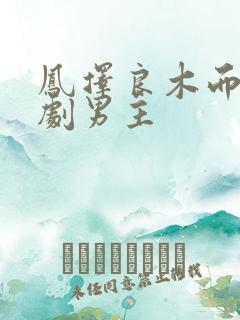 凤择良木而栖短剧男主