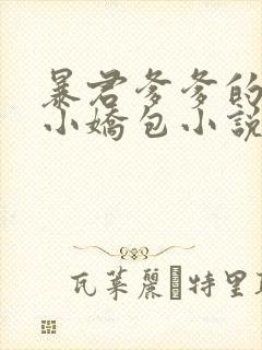 暴君爹爹的团宠小娇包小说txt