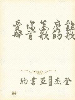 爱你怎么能了是哪首歌的歌词