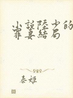 小说陆少的隐婚罪妻结局