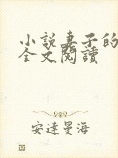 小说妻子的秘密全文阅读