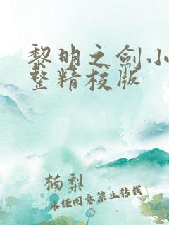 黎明之剑小说完整精校版