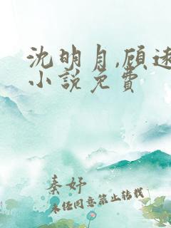 沈明月,顾远舟小说免费