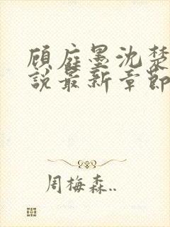 顾庭墨沈楚意小说最新章节免费阅读