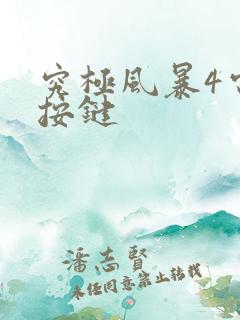 究极风暴4电脑按键