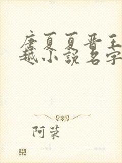 唐夏夏晋王的穿越小说名字