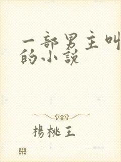 一部男主叫问天的小说