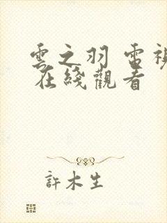 云之羽 电视剧 在线观看