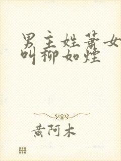 男主姓萧女主角叫柳如烟