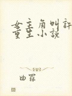 女主角叫许清欢重生小说