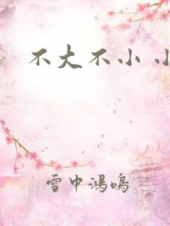 不大不小 小说