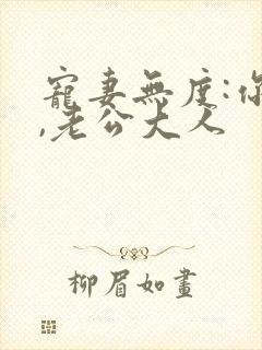 宠妻无度:你好,老公大人