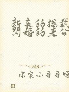 新来的总裁竟是闪婚的老公短剧