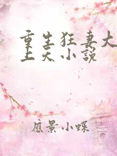 重生狂妻大佬宠上天小说