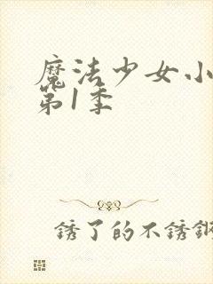 魔法少女小圆 第1季