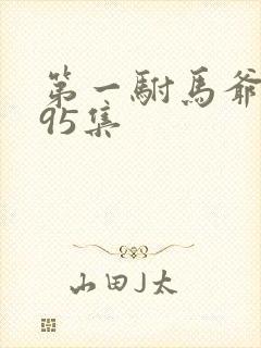 第一驸马爷短剧95集