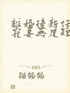 离婚后新任老公宠妻无度短剧免费观看