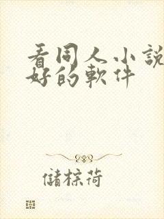 看同人小说比较好的软件