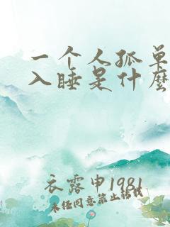 一个人孤单难以入睡是什么歌