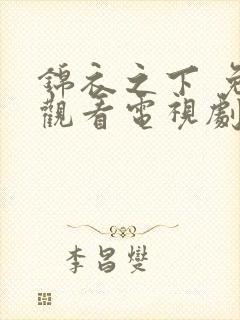 锦衣之下 免费观看电视剧全集