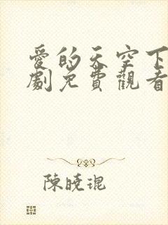 爱的天空下电视剧免费观看全集