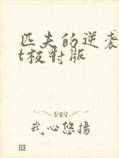 匹夫的逆袭txt校对版