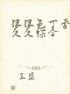 狠狠色丁香婷婷久久综合