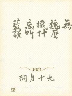 蓝忘机魏无羡小说叫什么