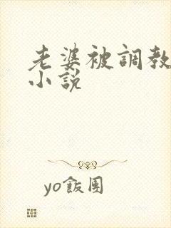 老婆被调教高h小说