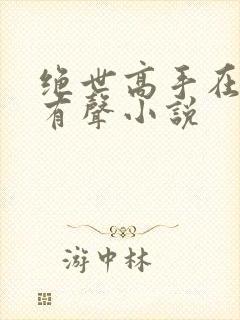 绝世高手在都市有声小说