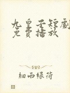 九皇子短剧全集免费播放