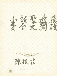 小说圣墟辰东免费全文阅读一