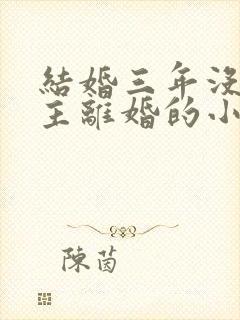 结婚三年没碰女主离婚的小说