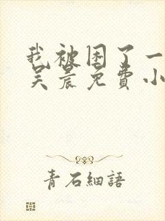 我被困了一千年吴晨免费小说