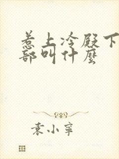 惹上冷殿下第二部叫什么