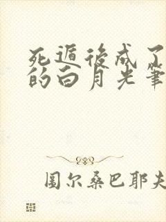 死遁后成了师尊的白月光笔趣阁